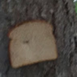 Meet your Posher, Jayme ross